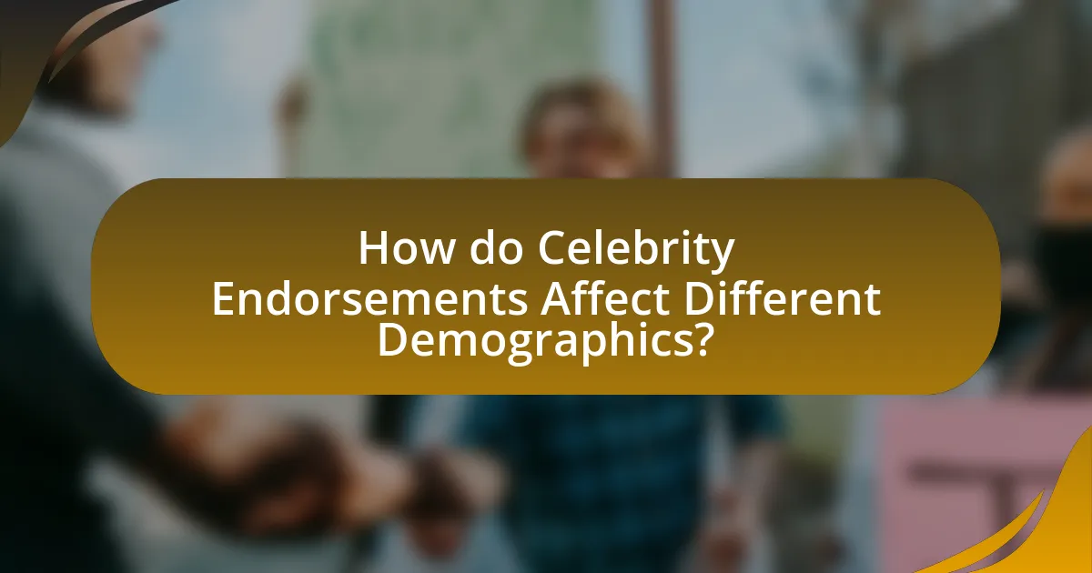 How do Celebrity Endorsements Affect Different Demographics?