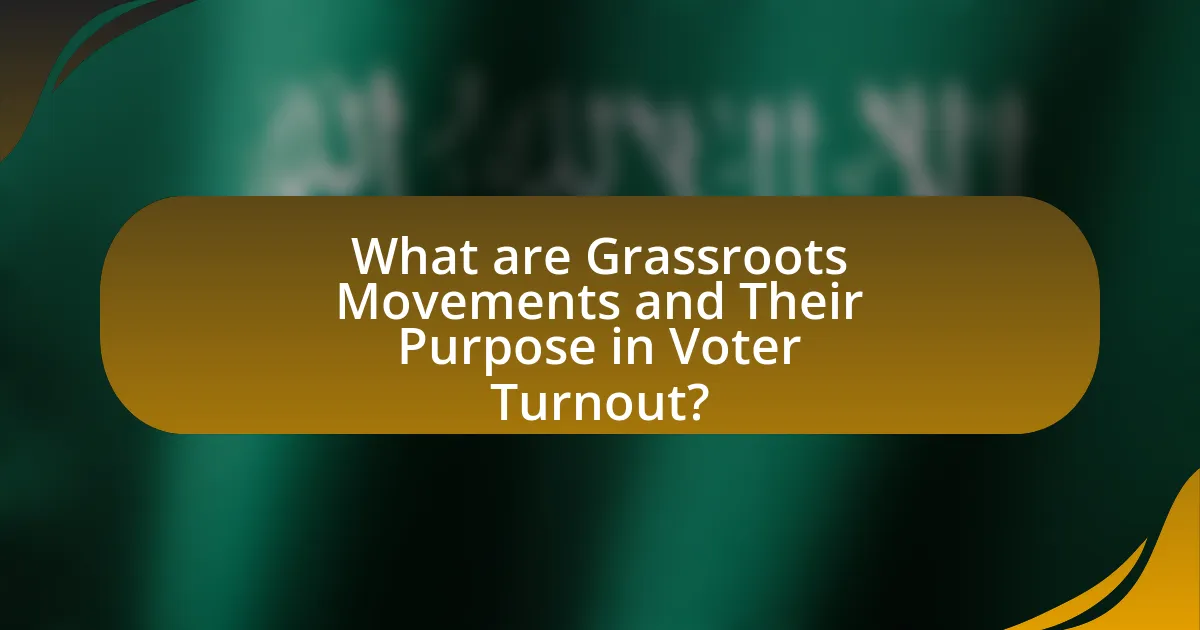 What are Grassroots Movements and Their Purpose in Voter Turnout?