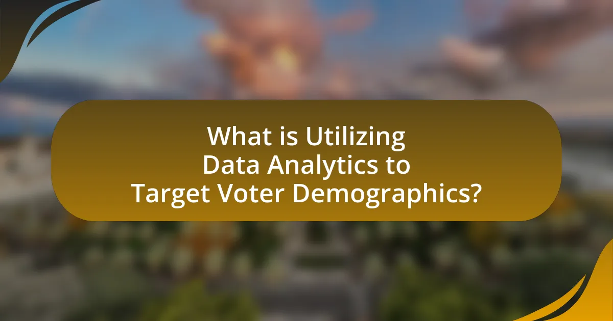 What is Utilizing Data Analytics to Target Voter Demographics?