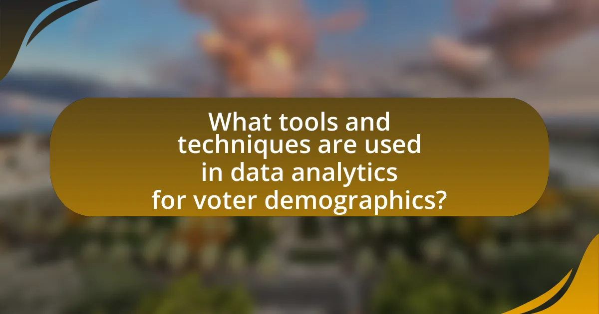 What tools and techniques are used in data analytics for voter demographics?